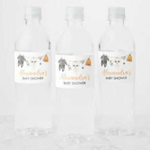 Little Boo Halloween Clothesline Baby Shower Water Bottle Label