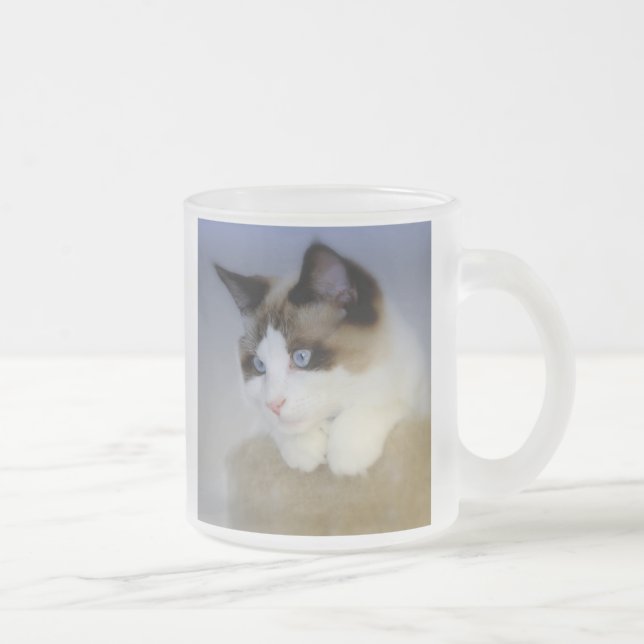 Little Boy Blue Frosted Mug (Right)