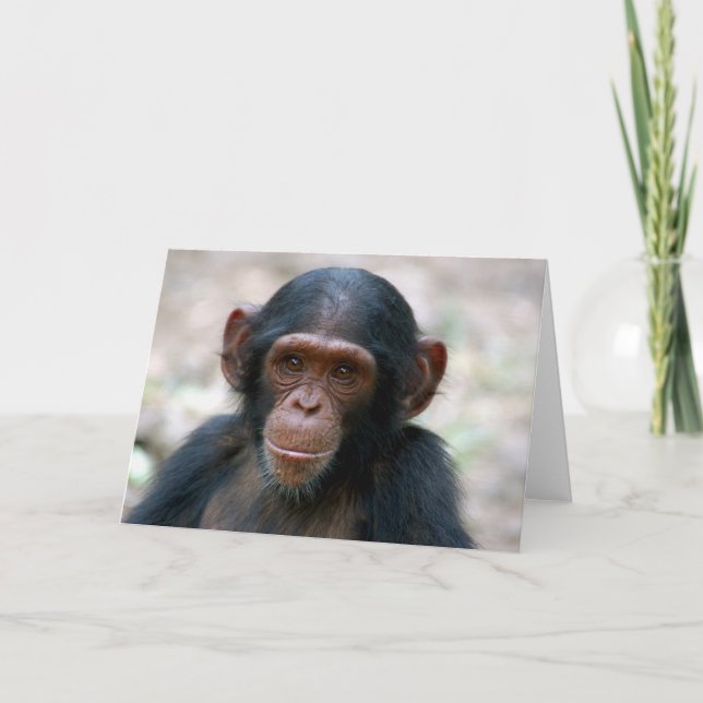 Little Boy Card (Front)