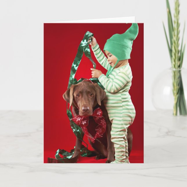 Little boy decorating a dog holiday card (Front)