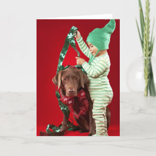 Little boy decorating a dog holiday card