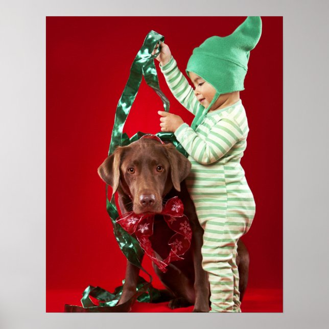 Little boy decorating a dog poster (Front)