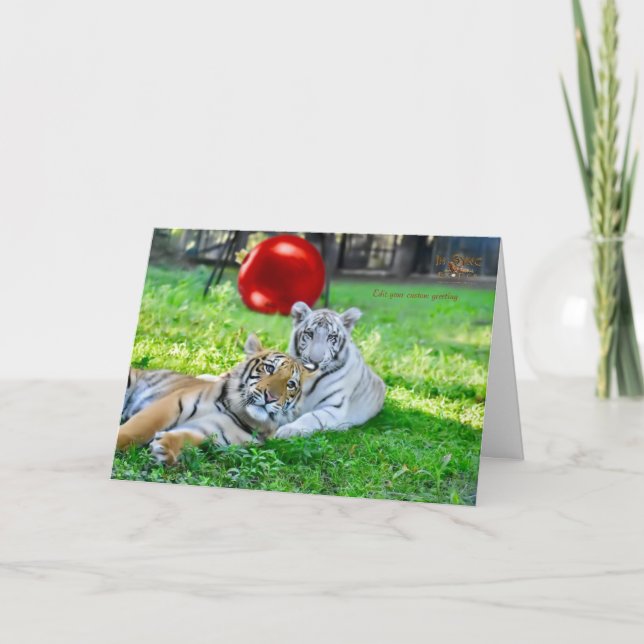 Little Boys Christmas Holiday Card (Front)