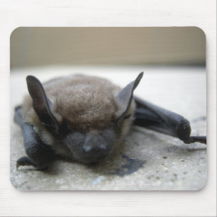 Little brown bat (Myotis lucifugus) Mouse Mat