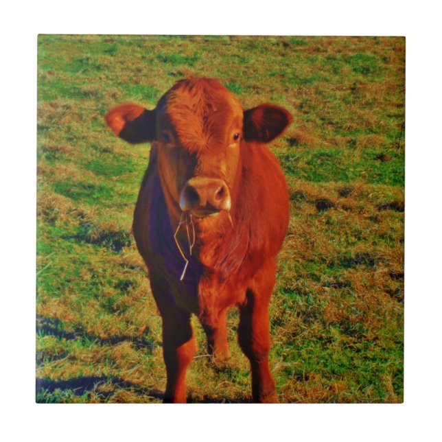 Little Brown Cow Bright Green Grass Tile (Front)