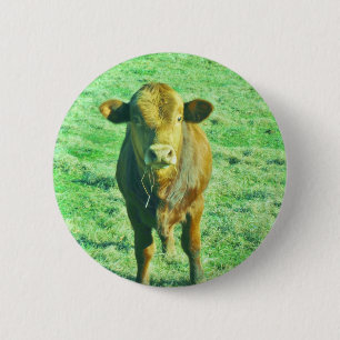 Little Brown Cow in Pastel Green Grass 6 Cm Round Badge