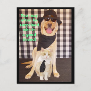 Little Buddy Postcard