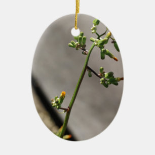 Little Bug, Little Flower Ceramic Tree Decoration