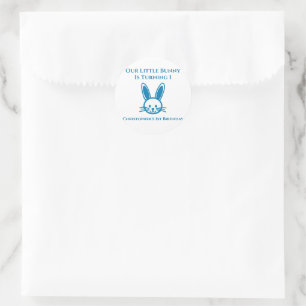 Little Bunny 1st Birthday Classic Round Sticker