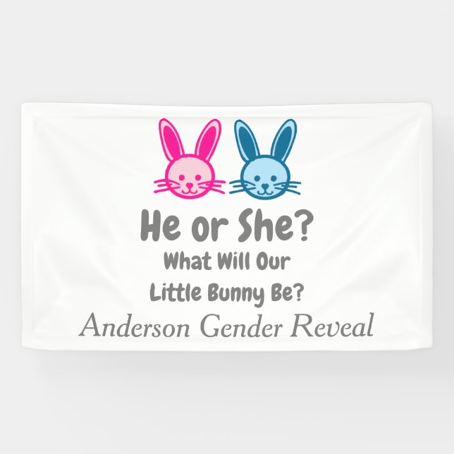 Little Bunny Gender Reveal Banner (Horizontal)