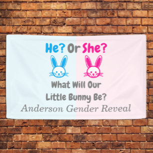 Little Bunny Gender Reveal Banner