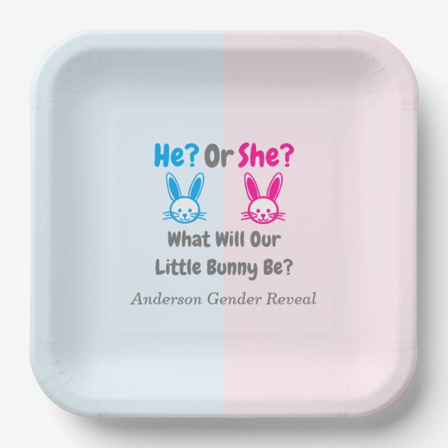 Little Bunny Gender Reveal Paper Plate (Front)