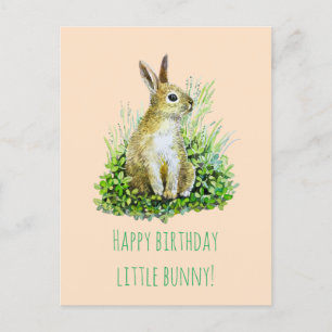 little bunny  happy birthday postcard