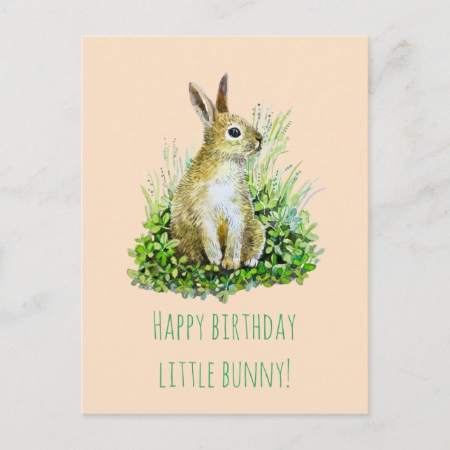 little bunny  happy birthday postcard (Front)