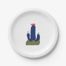 Little cactus