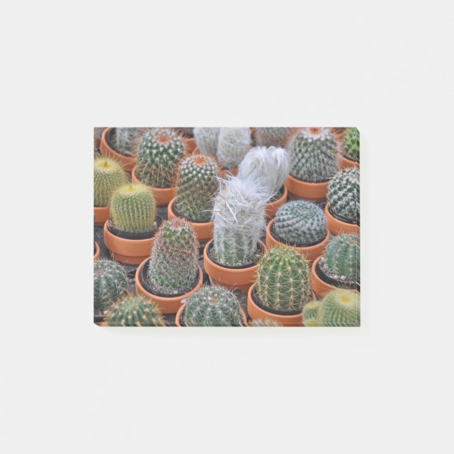 Little cactus plants post-it notes (Front)