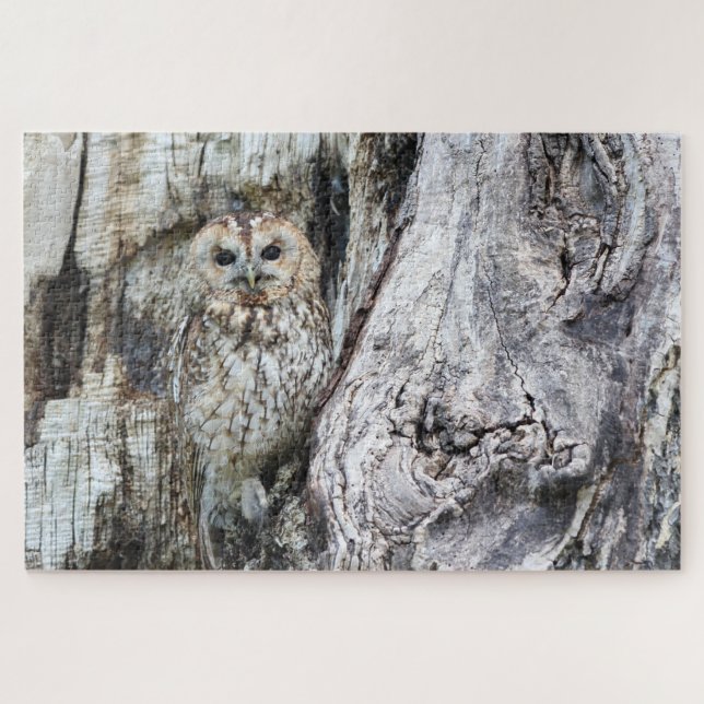 Little Camouflage Owl in Tree Jigsaw Puzzle (Horizontal)