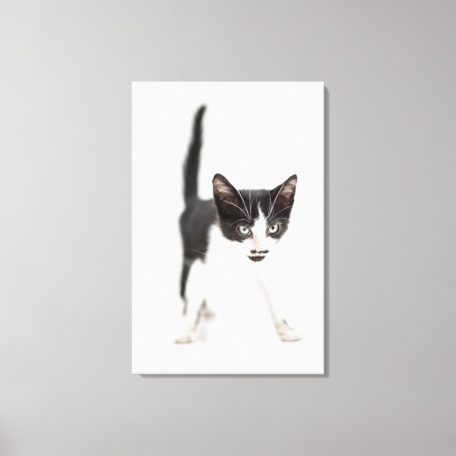 Little Cat Canvas Print (Front)