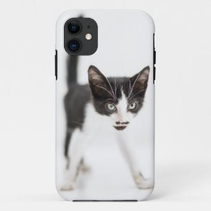 Little Cat iPhone 11 Case