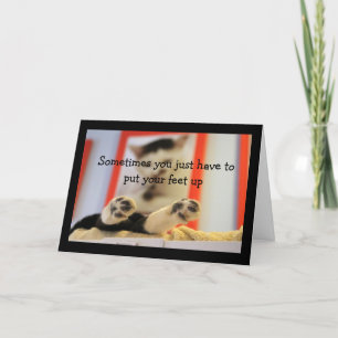 Little Cat Feet Get Well Wishes Card