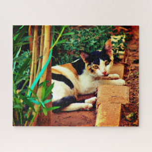 Little Cat Jigsaw Puzzle