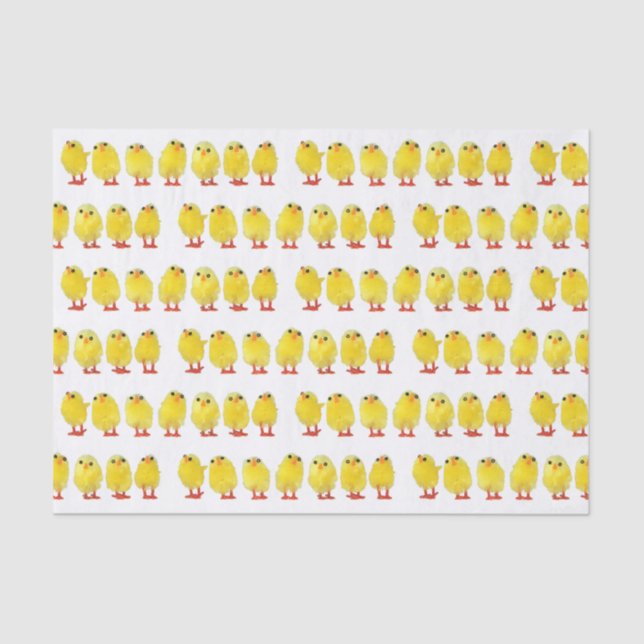 Little Chicks Tissue Paper (Front)