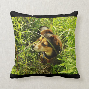 Little Chihuahua In Tall Grass Photo Pillow