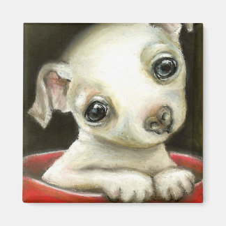 Little Chihuahua Magnet