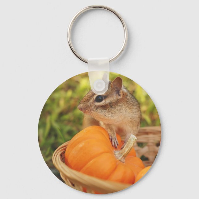 Little Chipmunk with Pumpkin Key Ring (Front)