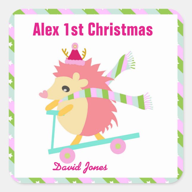 Little Christmas Hedhog Square Sticker (Front)