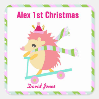 Little Christmas Hedhog Square Sticker