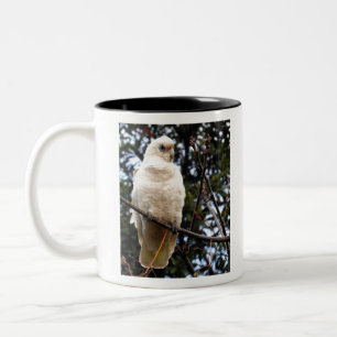 Little Corella Two-Tone Coffee Mug