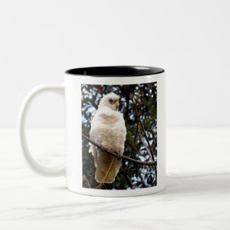 Little Corella Two-Tone Coffee Mug