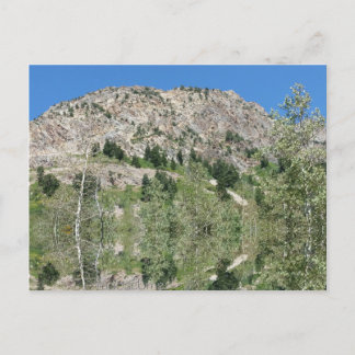 Little Cottonwood Canyon Utah 09072015 Postcard
