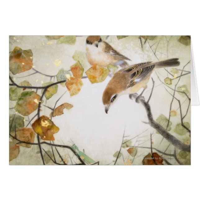 Little Creature-Bull-headed Shrikes (Front Horizontal)