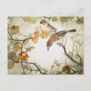 Little Creature-Bull-headed Shrikes Postcard