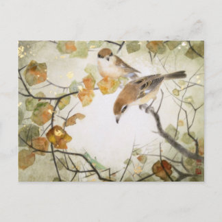 Little Creature-Bull-headed Shrikes Postcard