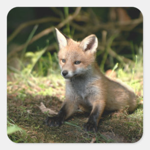 Little Cub Red Fox Square Sticker