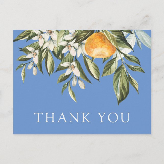 Little Cutie Baby Shower Thank You Postcard (Front)