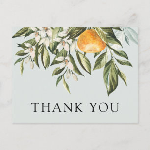 Little Cutie Baby Shower Thank You Postcard