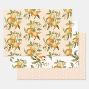 Little cutie citrus theme birthday party wrapping paper sheet
