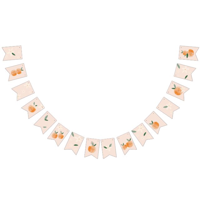 Little Cutie is on the Way Citrus Baby Shower Bunting (All)