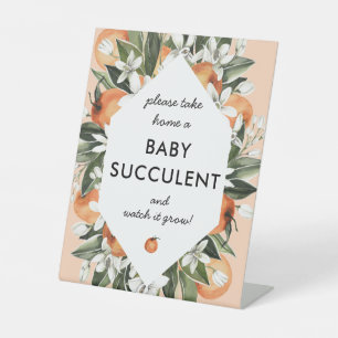 Little Cutie Succulent Baby Shower Favours Sign