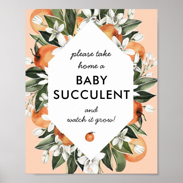 Little Cutie Succulent Baby Shower Favours Sign (Front)