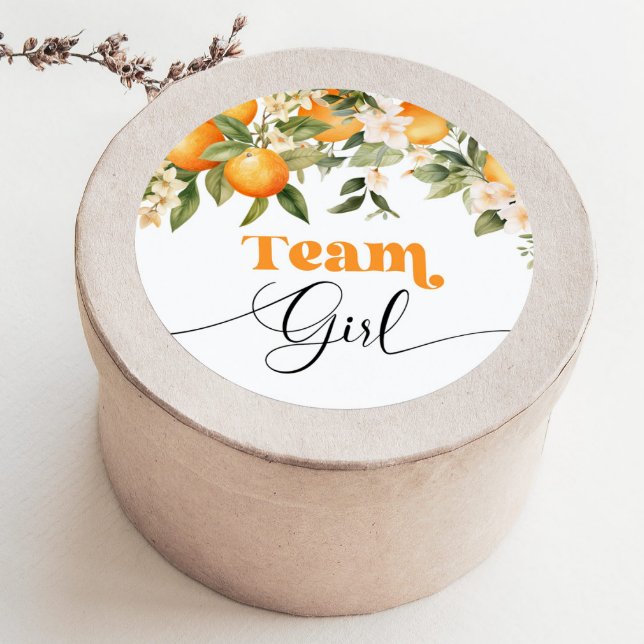 Little cutie Team girl gender reveal Classic Round Sticker (Creator Uploaded)