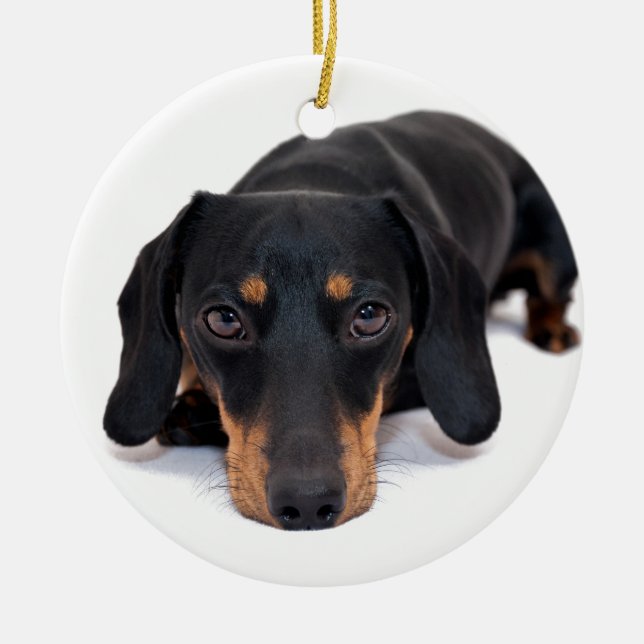 Little Dachshund Ceramic Tree Decoration (Front)