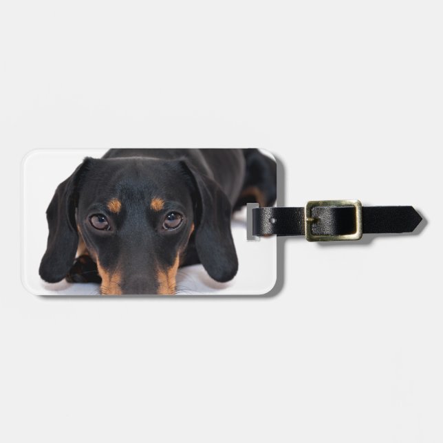 Little Dachshund Luggage Tag (Front Horizontal)