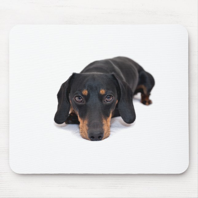Little Dachshund Mouse Mat (Front)