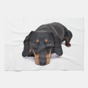 Little Dachshund Tea Towel