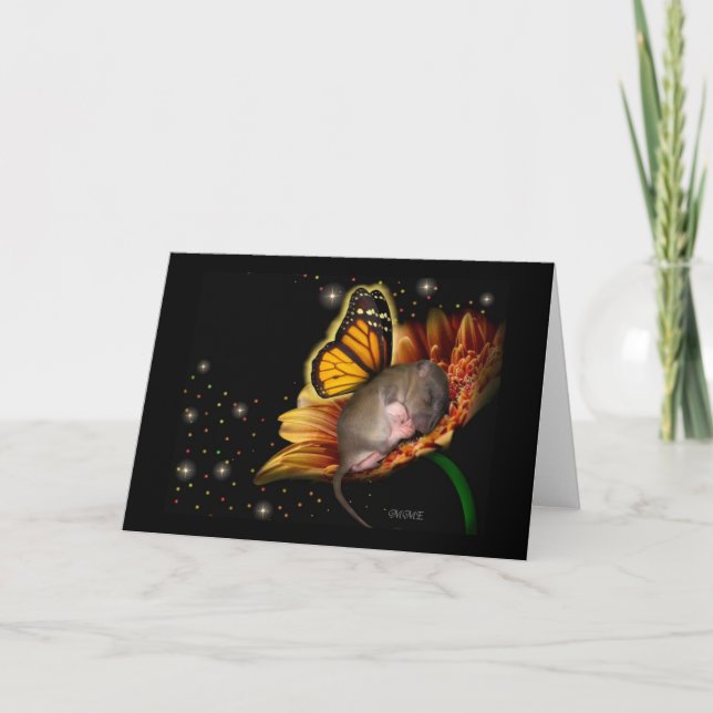 Little Daisy Dreamer Card (Front)
